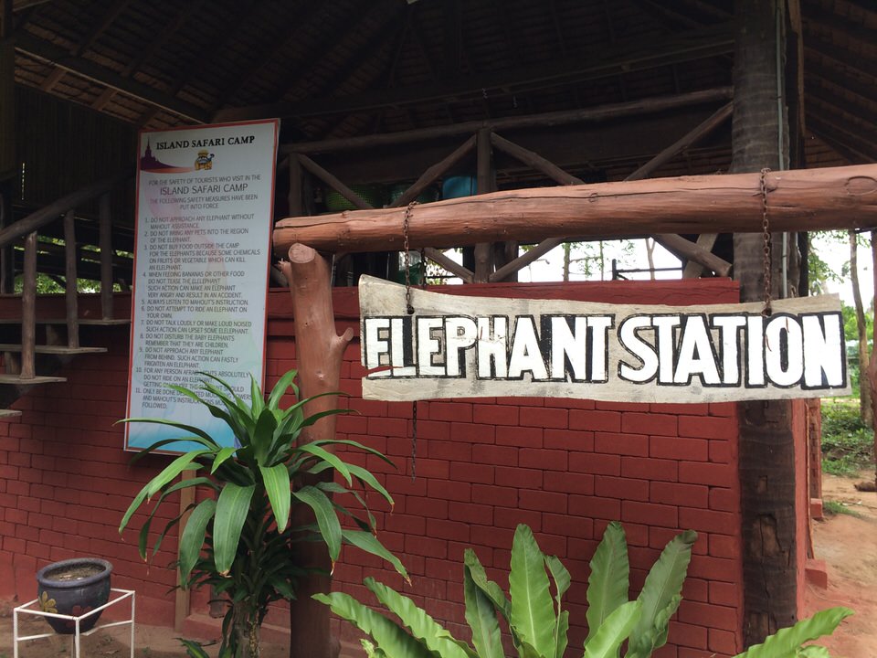 象乗り場「ELEPHANT STATION」
