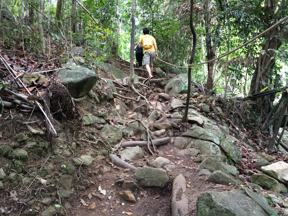 こんな山道を登ります