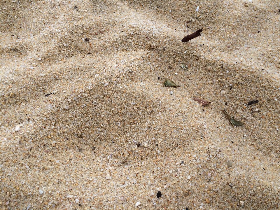 ビーチの砂は粗めです。