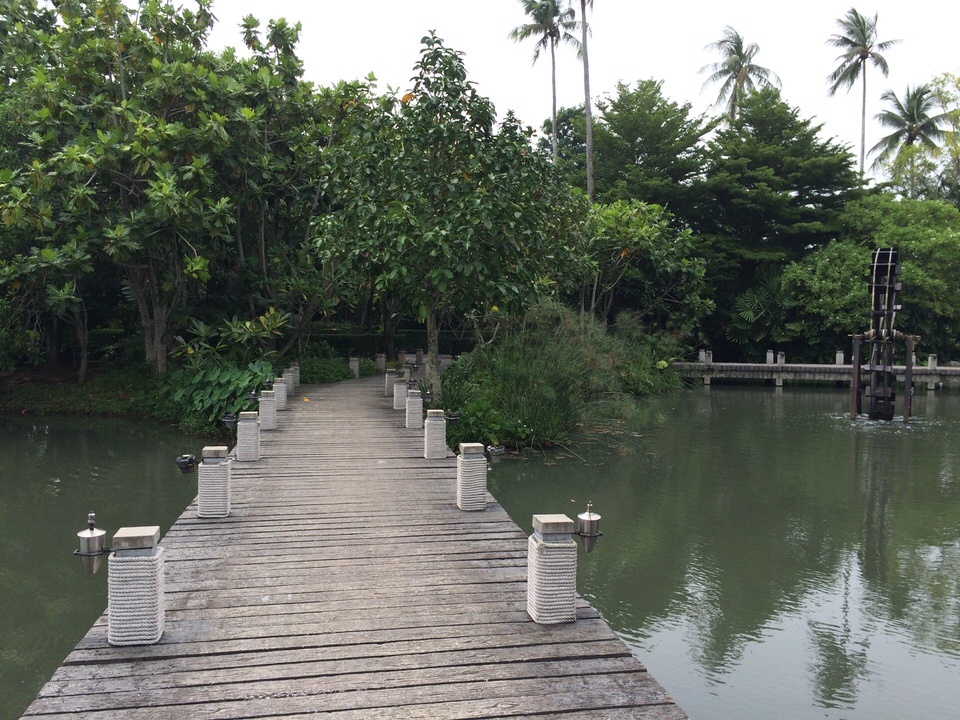 素敵な散歩道