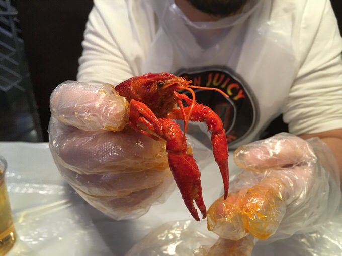 そのまんまのザリガニ (Crawfish)