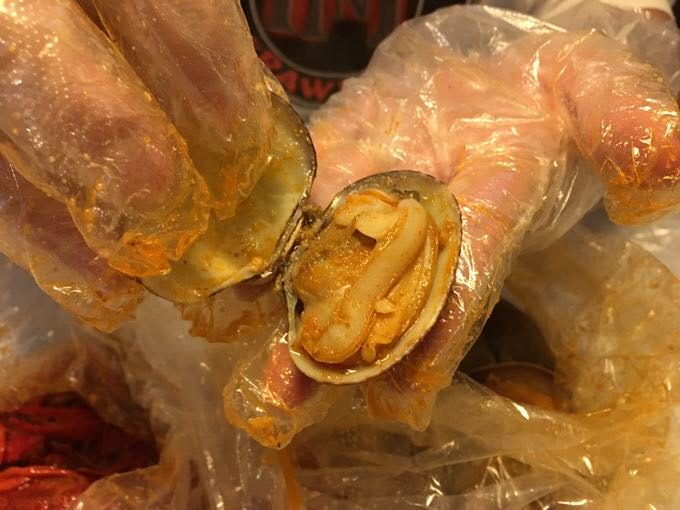 ハマグリ (Clam)は大ぶりで食べやすい！