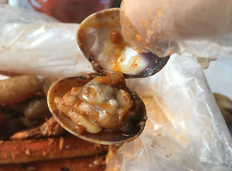 活きマニラクラム