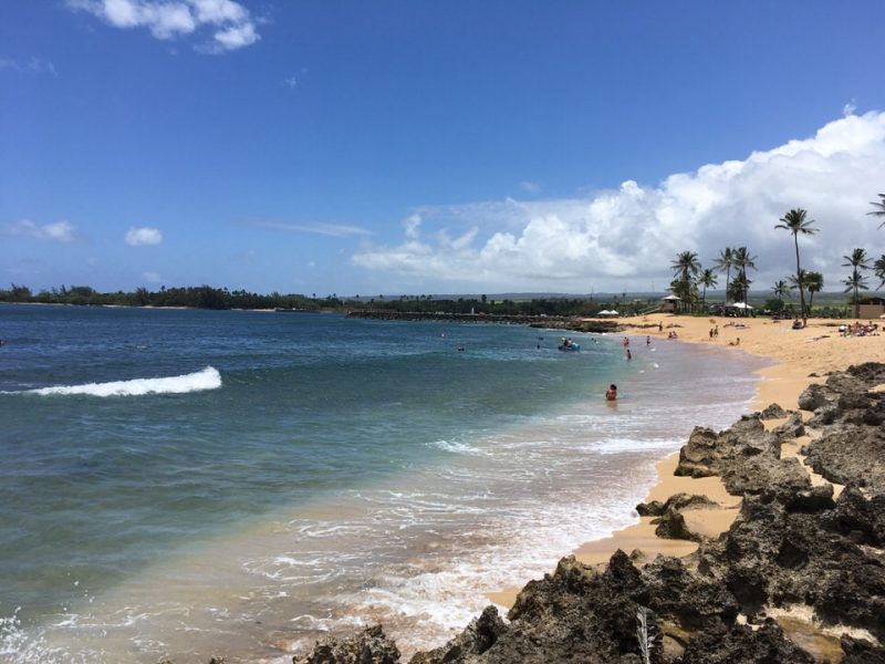 ノースショアの海